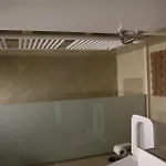 The Leads * ティラナ