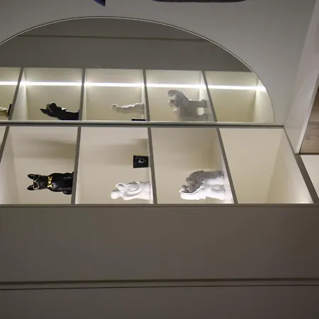 The Leads تيرانا